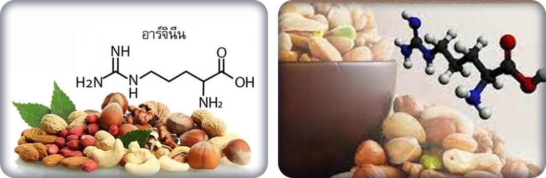 ประโยชน์ของแอล-อาร์จีนีน โมโนไฮโดรคลอไลด์